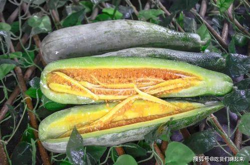 吃瓜原创网红推荐,盘点那些必尝美食！  第1张