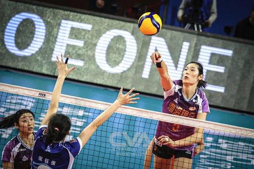 天津女排爆料视频回放最新,最新爆料视频背后的精彩瞬间  第3张